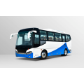 30 plas otobis touris elektrik